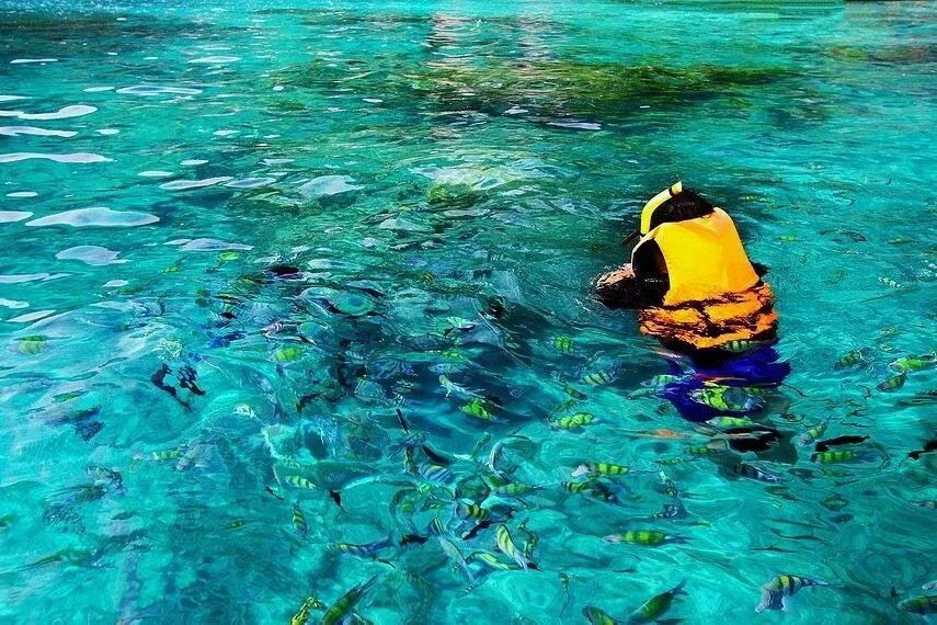 A snorkeller in a yellow life vest surrounded by small fish in clear turquoise water